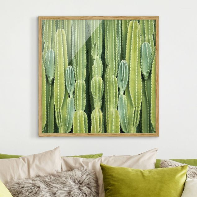 Obrazy w ramie do korytarzu Ściana kaktusów