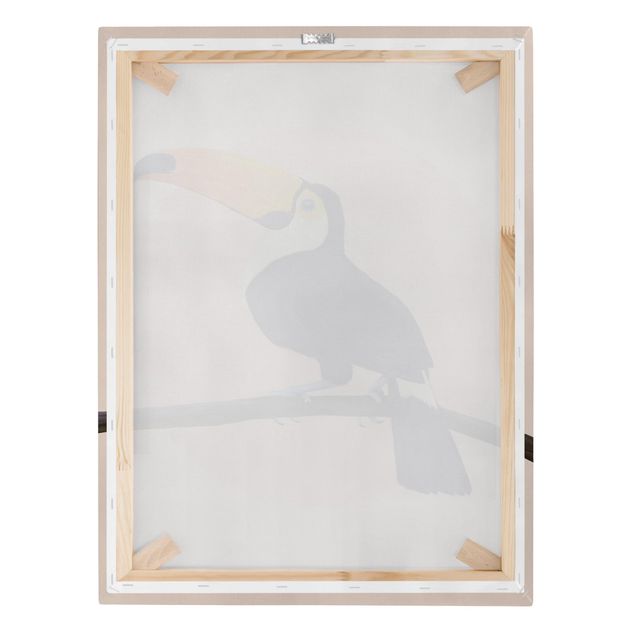 Obrazy artystów Ilustracja ptak tukan malarstwo pastelowe
