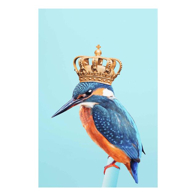 Obrazy na szkle zwierzęta Lodowy ptak z koroną