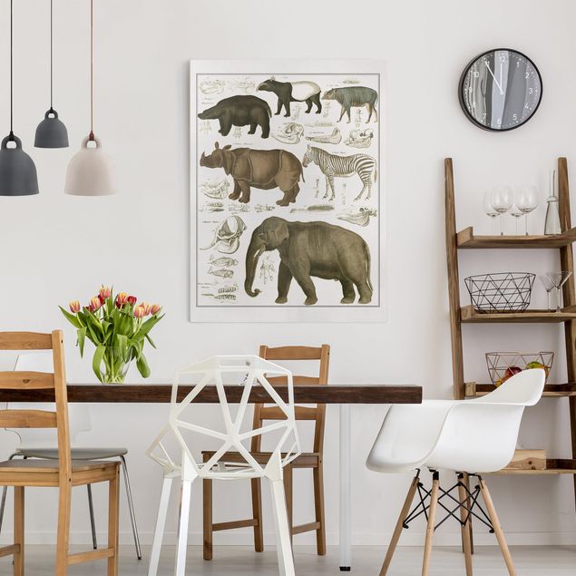 Obrazy krajobraz Tablica edukacyjna w stylu vintage Słonie, zebry i nosorożce