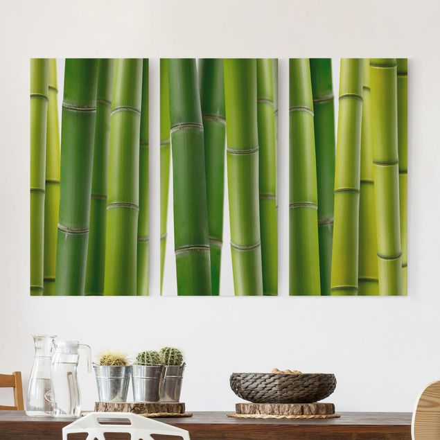 Dekoracja do kuchni Rośliny bambusowe