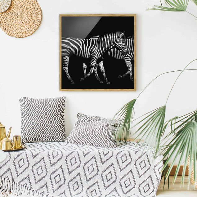Obrazy w ramie do korytarzu Zebra przed Czarnym