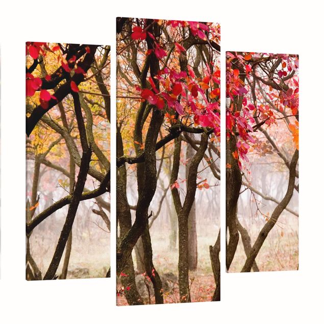 Drzewo obraz Japonia jesienią