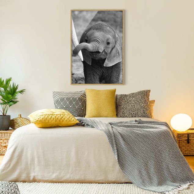 Obrazy w ramie dla dzieci Baby słoń