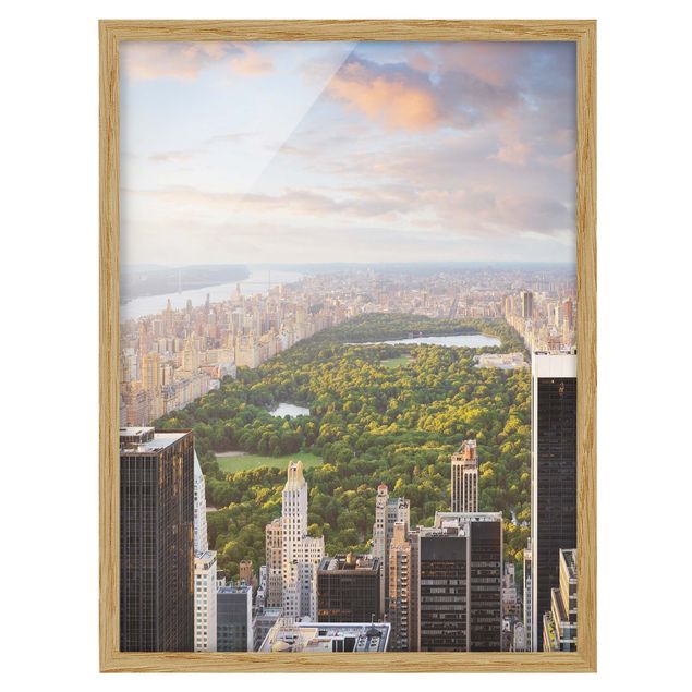 Obrazy w ramie do kuchni Widok na Central Park