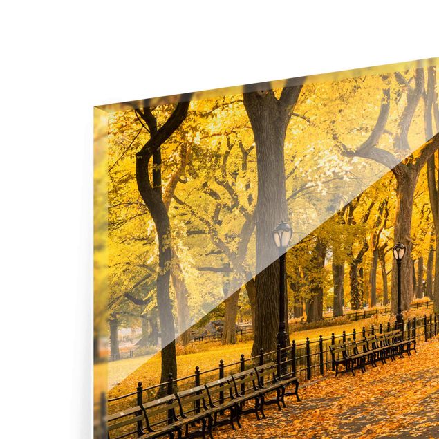 Obrazy Nowy Jork Jesień w Central Parku