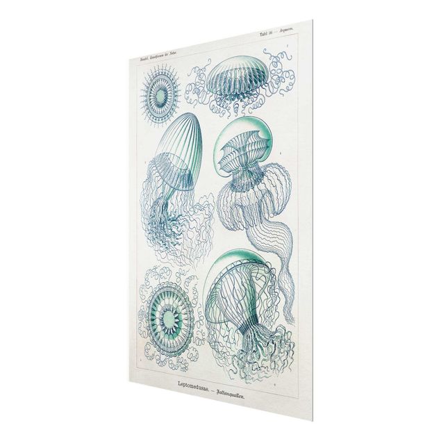 Obrazy retro Tablica edukacyjna w stylu vintage Meduza w kolorze niebieskim
