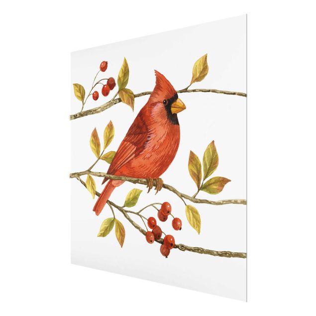 Obrazy ze zwierzętami Ptaki i jagody - Czerwony kardynał