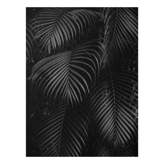 Obrazy motywy kwiatowe Czarne liście palmy
