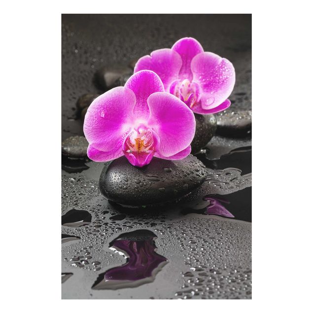 Obrazy na szkle duchowość Kwiaty różowej orchidei na kamieniach z kroplami