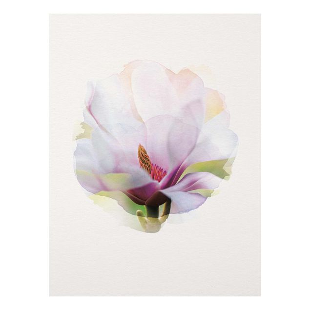 Obrazy nowoczesny Akwarele - Delikatny kwiat magnolii
