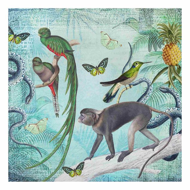 Obrazy nowoczesny Kolaże w stylu kolonialnym - małpy i rajskie ptaki