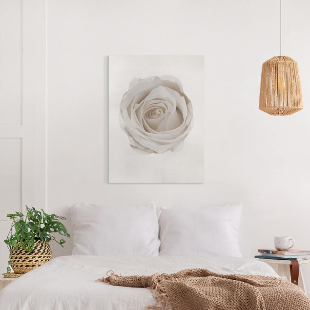 Obrazy do salonu nowoczesne Akwarele - Piękna biała róża