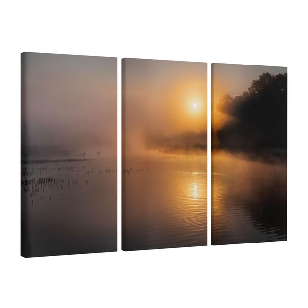Obrazy na ścianę krajobrazy Wschód słońca nad jeziorem z jeleniami we mgle