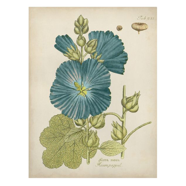 Obrazy retro Botanika w stylu vintage z topolą z niebieską różą