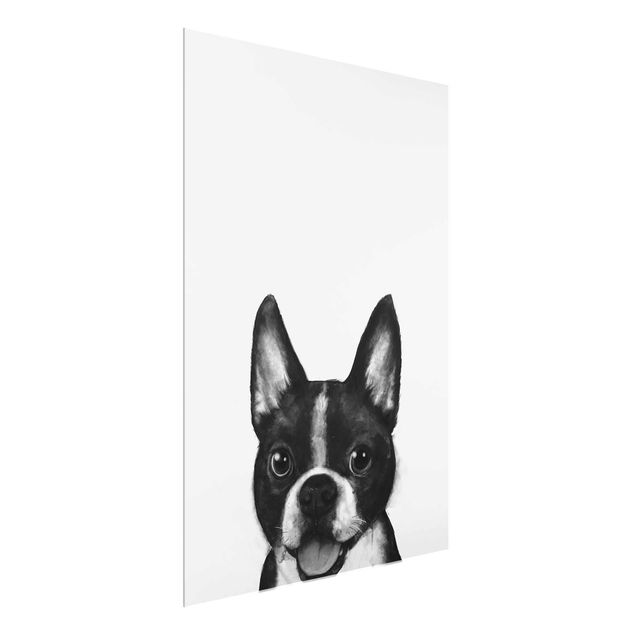 Obrazy na szkle artyści Ilustracja pies Boston czarno-biały Painting