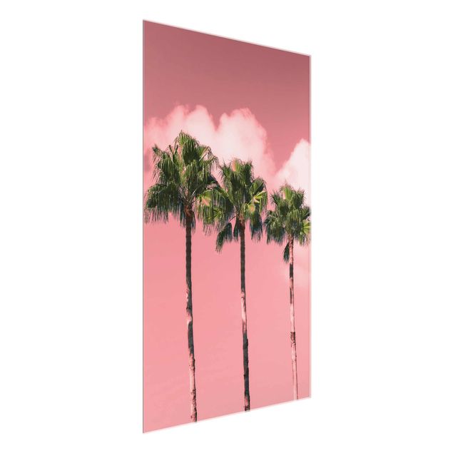 Obrazy nowoczesne Palmy przed Sky Pink