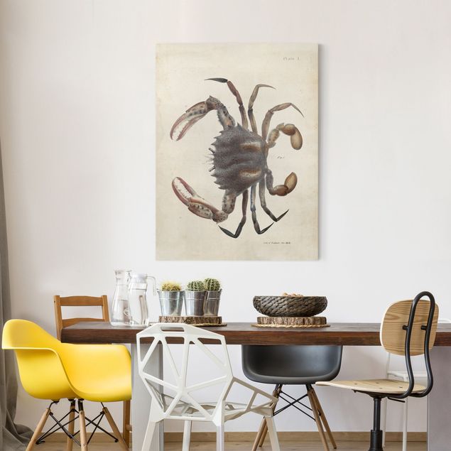 Obrazy do salonu Ilustracja w stylu vintage przedstawiająca kraba