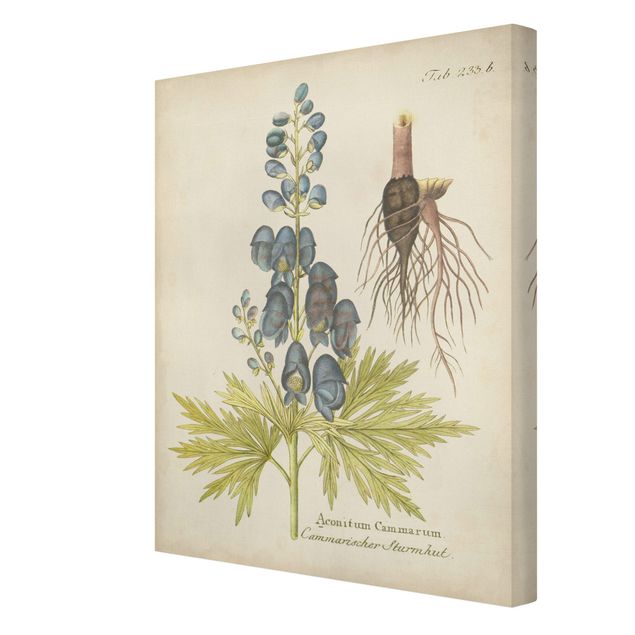 Obrazy kwiatowe Botanika w stylu vintage z niebieską kominiarką
