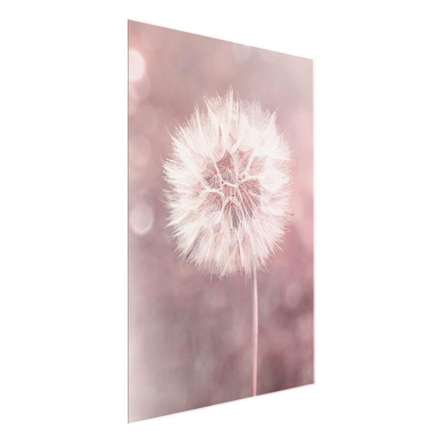 Nowoczesne obrazy dandelion bokeh różowy