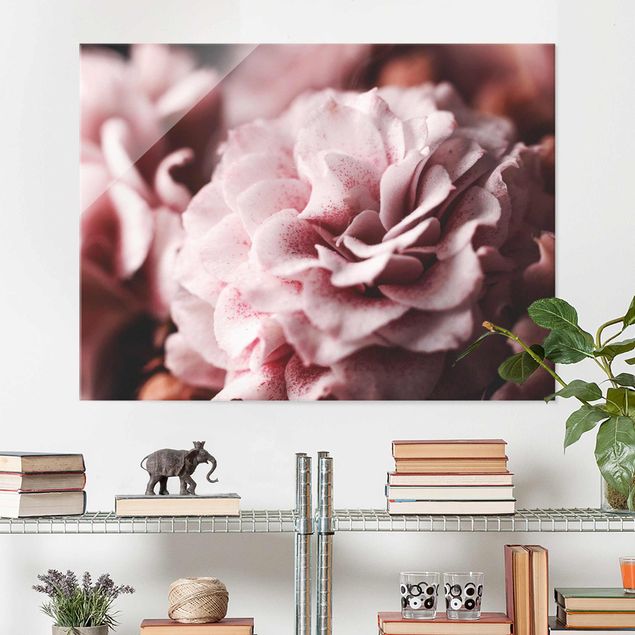 Obrazy kwiatowe Pastelowa róża Shabby Pink