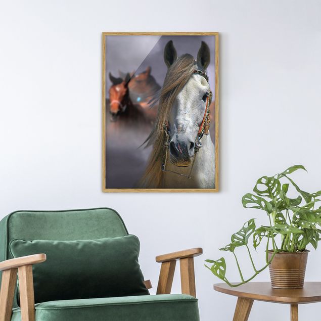 Obrazy w ramie do korytarzu Konie w kurzu