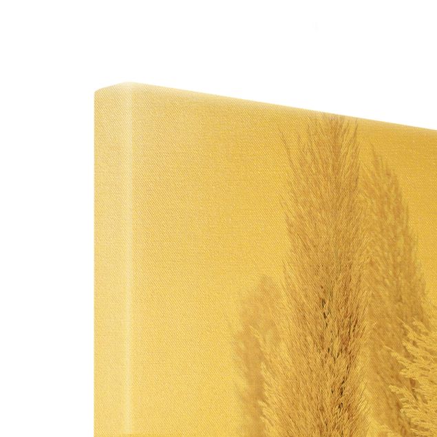 Złoty obraz na płótnie - Trawa pampasowa w białym świetle