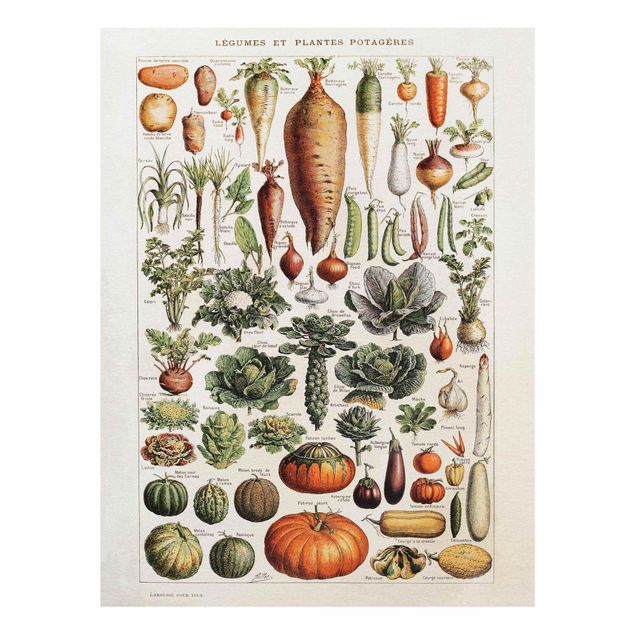 Zielony obraz Tablica edukacyjna w stylu vintage Warzywa
