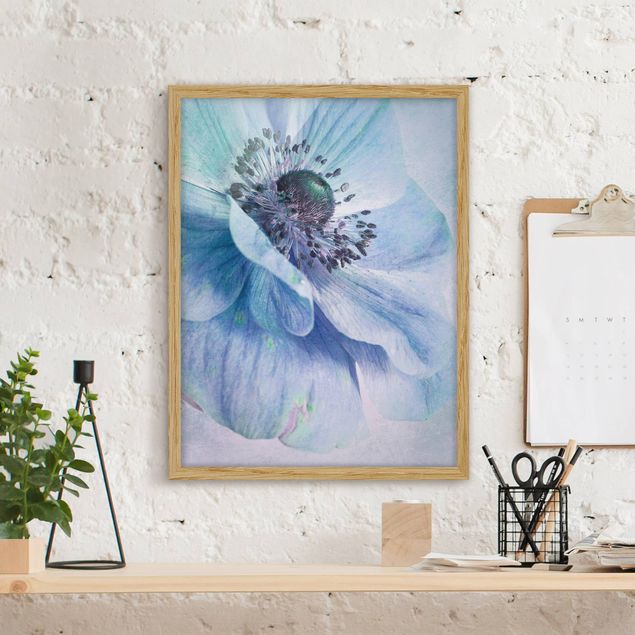 Obrazy w ramie do korytarzu Kwiat w kolorze turkusowym