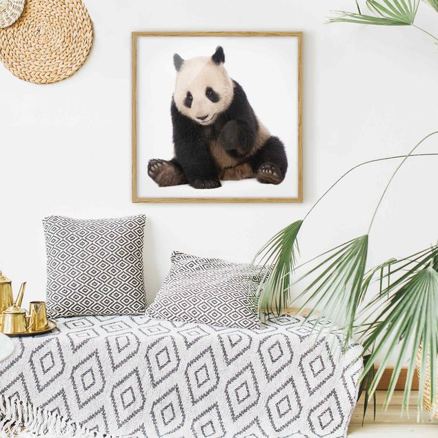 Obrazy w ramie dla dzieci Panda Paws
