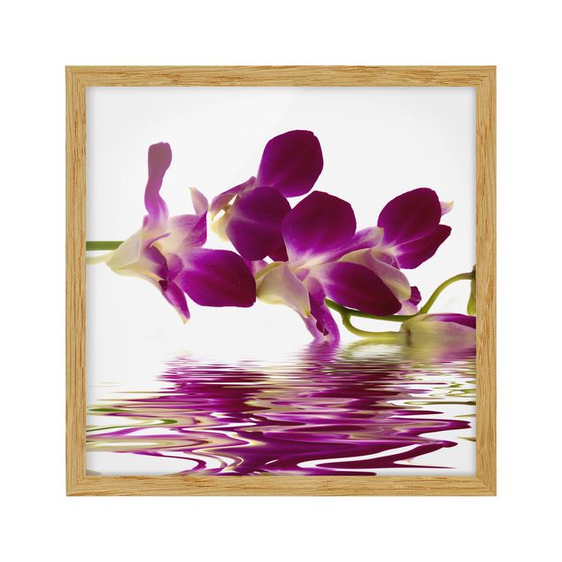 Obrazy w ramie do łazienki Wody różowej orchidei