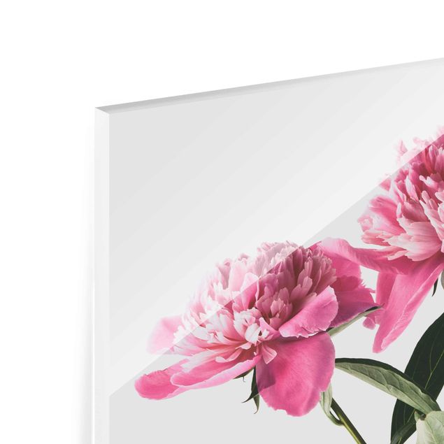 Obrazy z motywem kwiatowym Kwiaty i pąki różowe na białym tle
