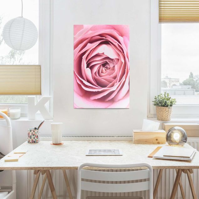 Obrazy na szkle róże Różowy kwiat róży