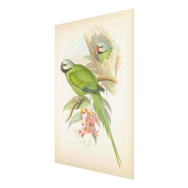 Obrazy retro Ilustracja w stylu vintage Ptaki tropikalne II