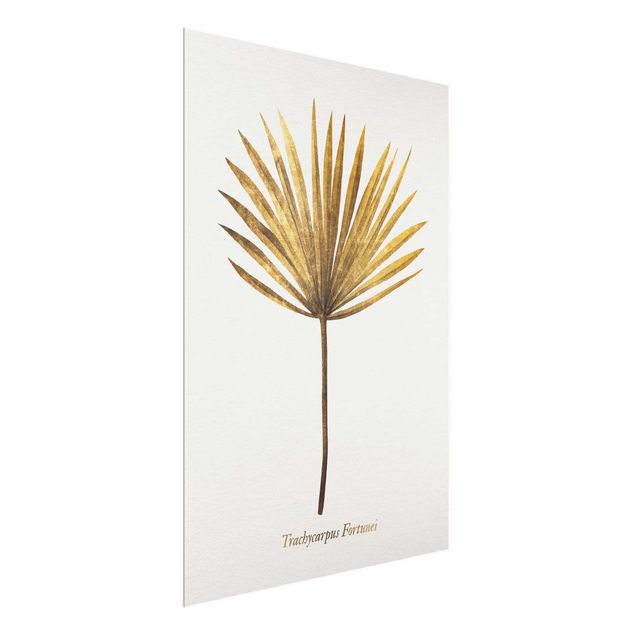 Obrazy na szkle powiedzenia Złoto - liść palmy