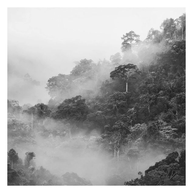 Fototapeta - Dżungla we mgle czarno-biały