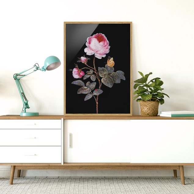 Obrazy w ramie do korytarzu Barbara Regina Dietzsch - Róża stulistna