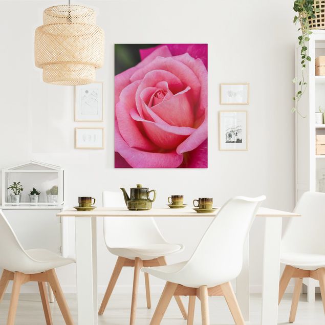 Obrazy do salonu Kwiat różowej róży na tle zieleni