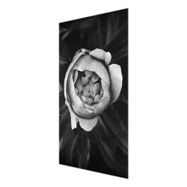 Obrazy nowoczesny Kwiat piwonii na tle liści czarno-biały