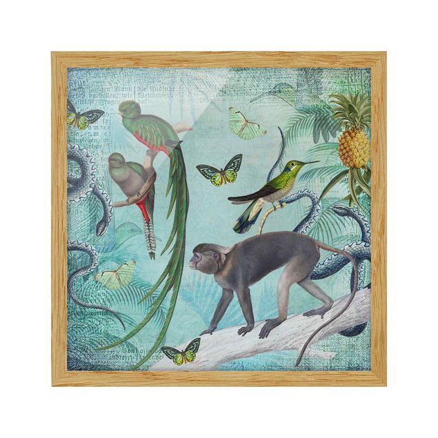 Obrazy w ramie do łazienki Kolaże w stylu kolonialnym - małpy i rajskie ptaki