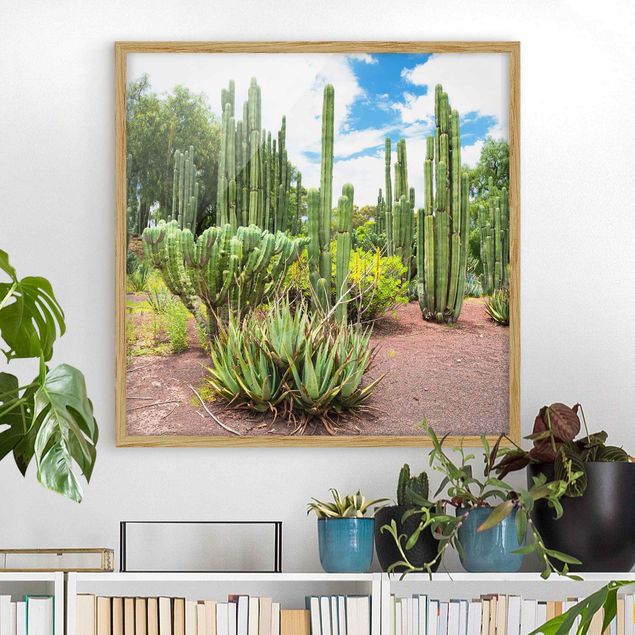 Dekoracja do kuchni Krajobraz z kaktusami