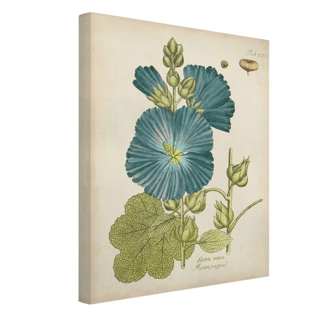 Vintage obrazy Botanika w stylu vintage z topolą z niebieską różą