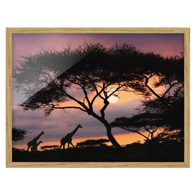 Obrazy w ramie do łazienki Safari w Afryce