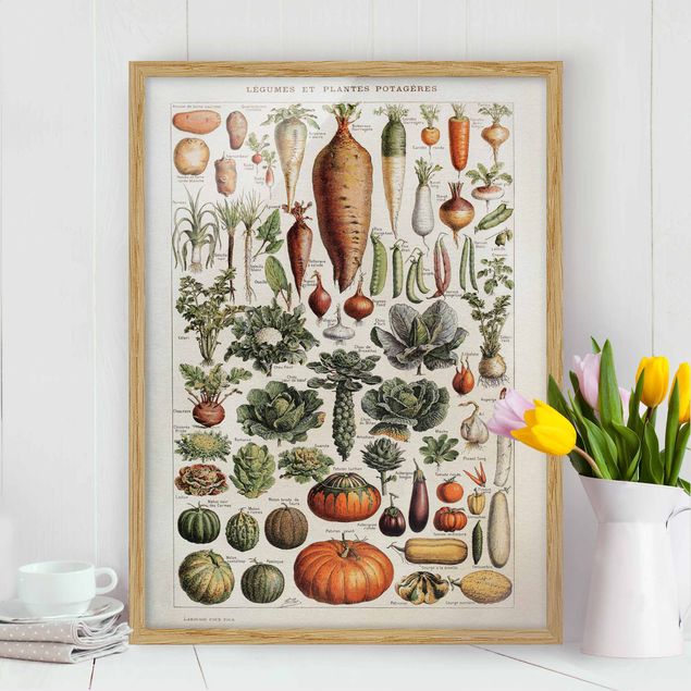 Obrazy owoce i warzywa Tablica edukacyjna w stylu vintage Warzywa