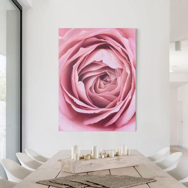 Obrazy na płótnie róże Różowy kwiat róży