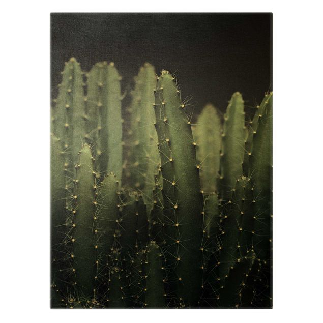 Obraz na płótnie Kaktus pustynny nocą