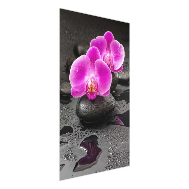 Obrazy na szkle portret Kwiaty różowej orchidei na kamieniach z kroplami
