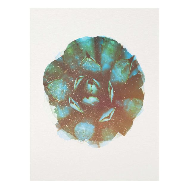 Obrazy nowoczesny Akwarele - Niebieska agawa