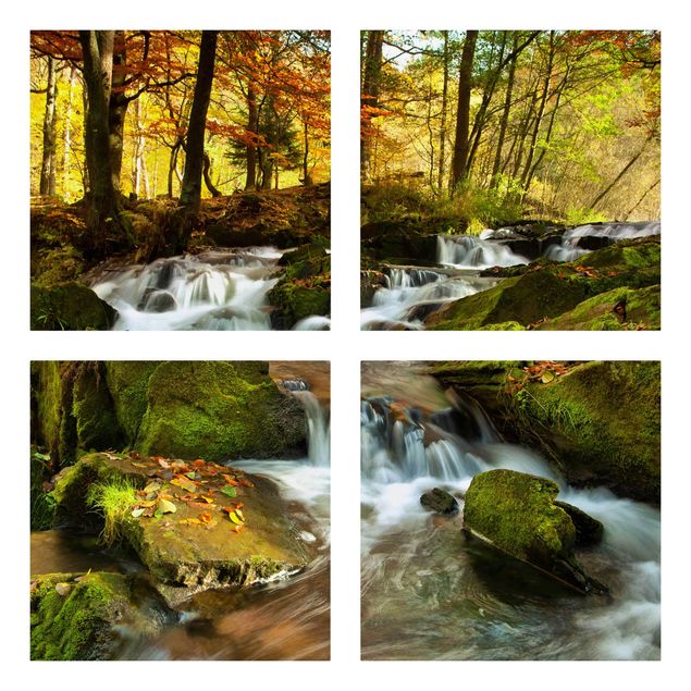 Obrazy z górami Wodospad jesienny las