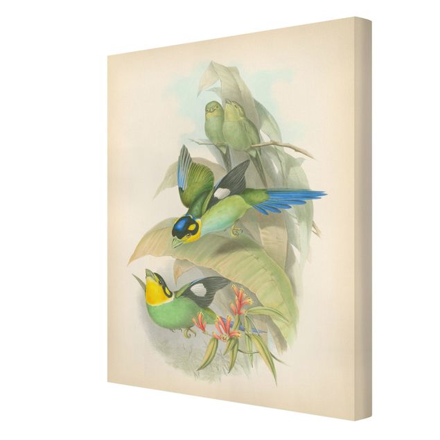 Obrazy ptaki na płótnie Ilustracja w stylu vintage - ptaki tropikalne